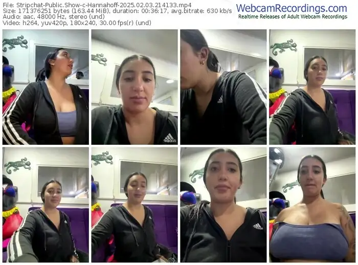 2025/02/03/stripchat-hannahoff-21-41-33