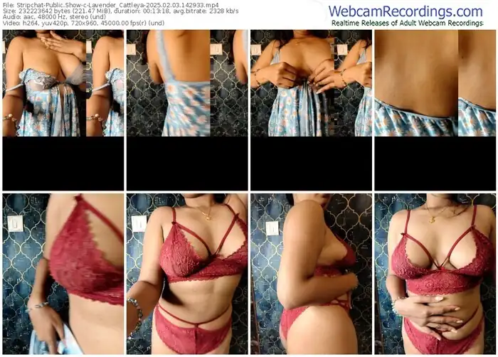 2025/02/03/stripchat-lavender_cattleya-14-29-33