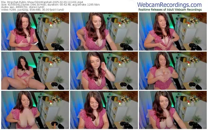 2025/02/03/stripchat-erinmarshall-11-14-31