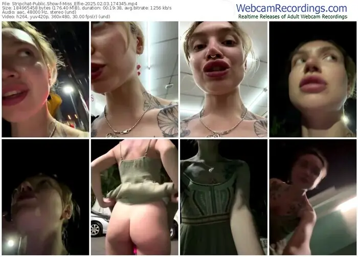2025/02/03/stripchat-miss_elfie-17-43-45