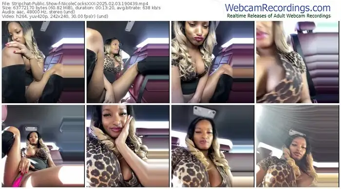 2025/02/03/stripchat-nicolecocksxxx-19-04-39