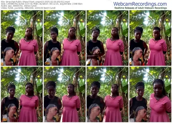 2025/02/03/stripchat-swit_virgin22-05-10-12