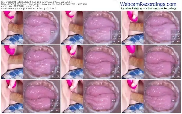 2025/02/03/stripchat-danigirl866-21-55-25
