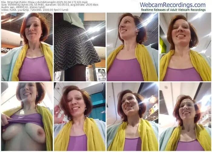 2025/02/04/stripchat-exhibitionsplit-17-13-22