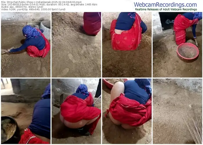 2025/02/04/stripchat-indiankanak-04-41-00