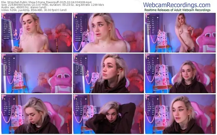 2025/02/04/stripchat-fiona_powerpuff-03-43-08
