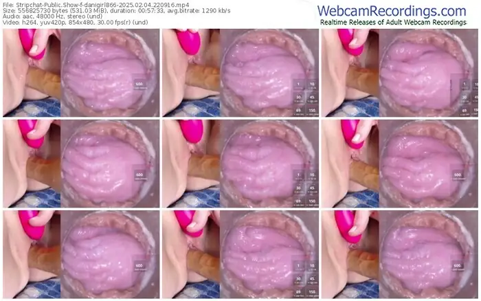 2025/02/04/stripchat-danigirl866-22-09-16