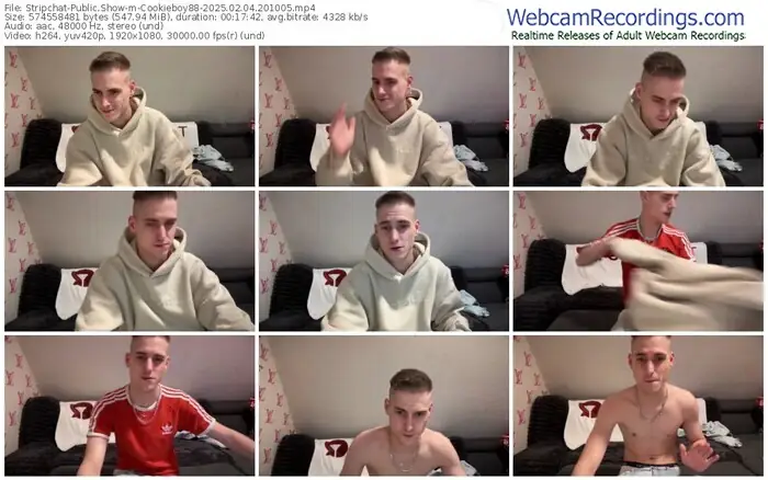 2025/02/04/stripchat-cookieboy88-20-10-05