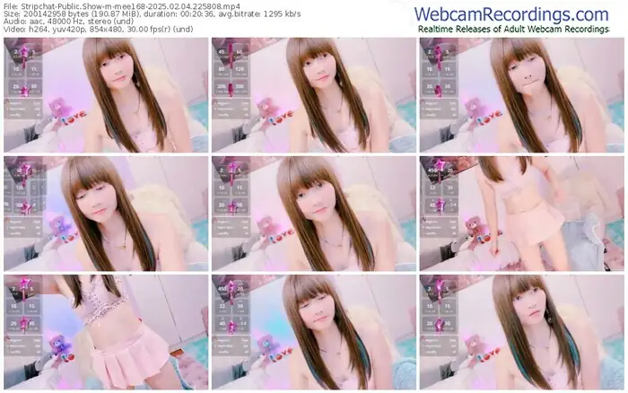2025/02/04/stripchat-mee168-22-58-08