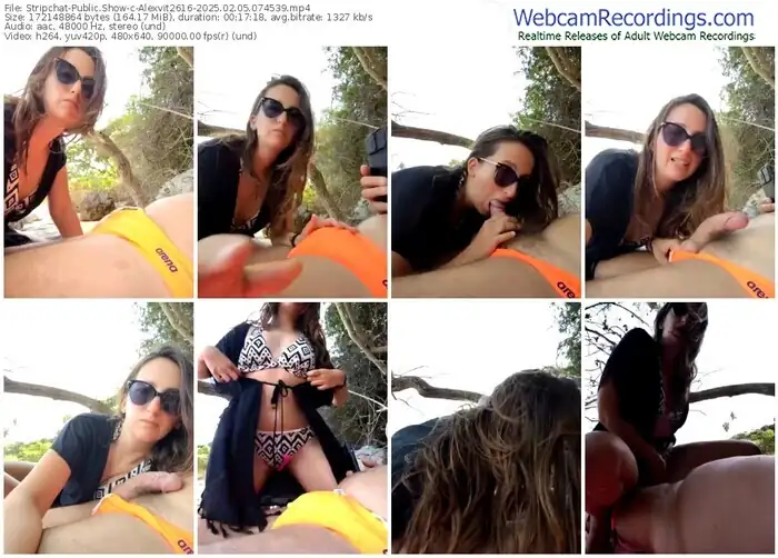 2025/02/05/stripchat-alexvit2616-07-45-39