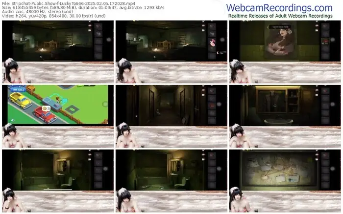2025/02/05/stripchat-luckyto666-17-20-28