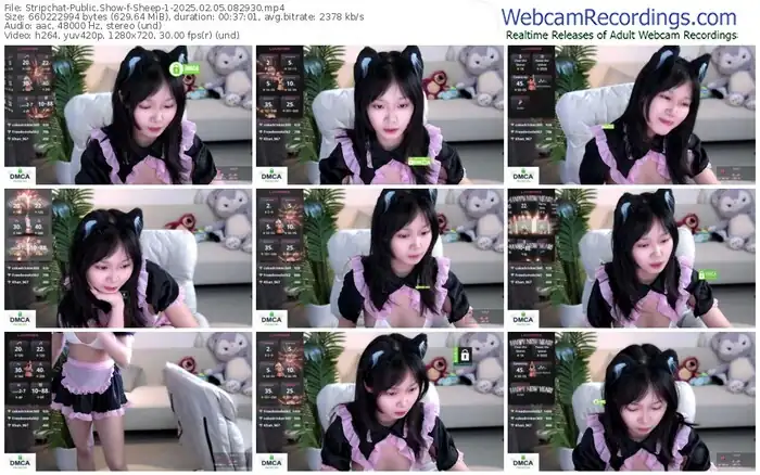 2025/02/05/stripchat-sheep-1-08-29-30