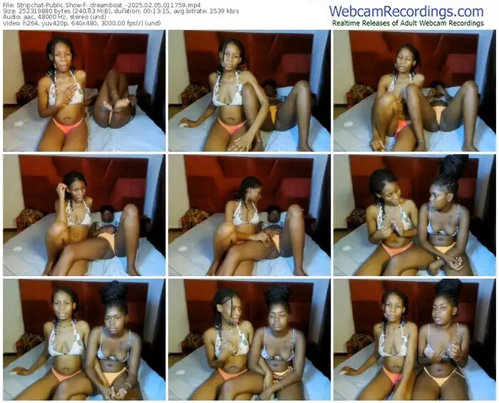2025/02/05/stripchat-_dreamboat_-01-17-59