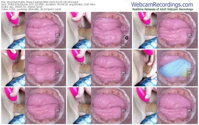 2025/02/05/stripchat-danigirl866-18-10-52