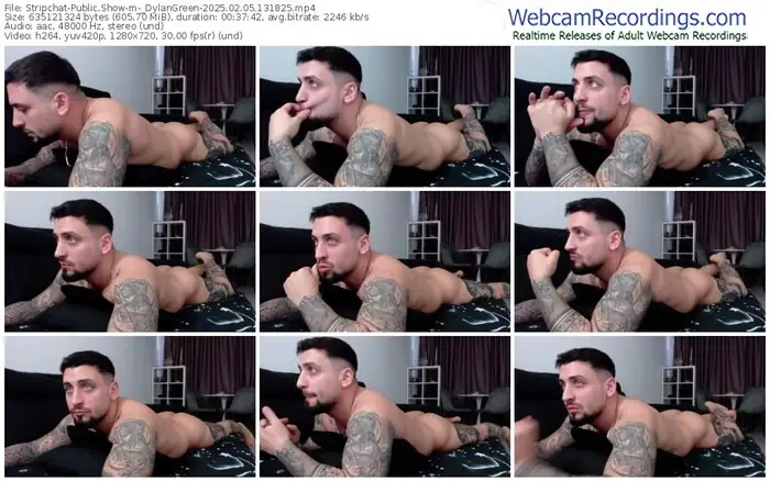 2025/02/05/stripchat-_dylangreen-13-18-25