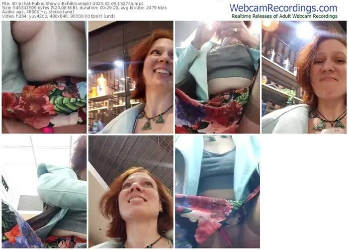 2025/02/06/stripchat-exhibitionsplit-15-27-45