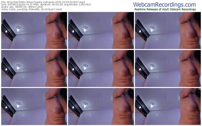 2025/02/06/stripchat-paola_rodriguez-01-00-47