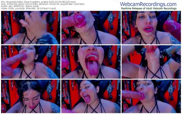 2025/02/06/stripchat-sadistic_aradia-08-12-25