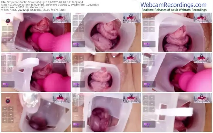 2025/02/07/stripchat-c-jiujiu199-12-18-13