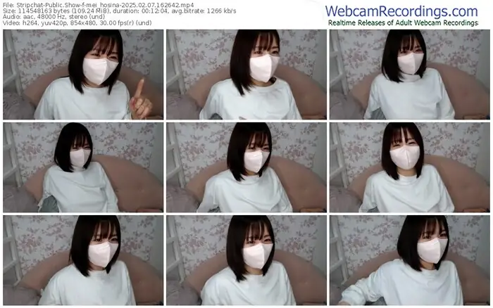 2025/02/07/stripchat-mei_hosina-16-26-42