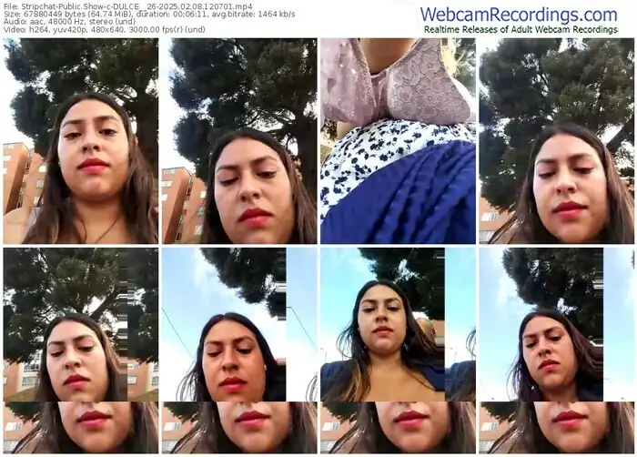 2025/02/08/stripchat-dulce__26-12-07-01
