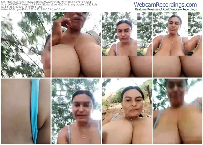 2025/02/08/stripchat-horny-mommy-dirty-22-21-42