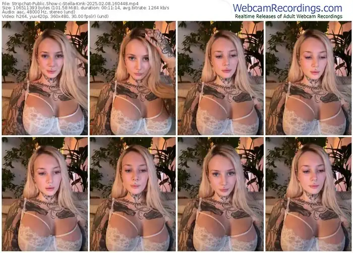 2025/02/08/stripchat-stella-kink-16-04-48