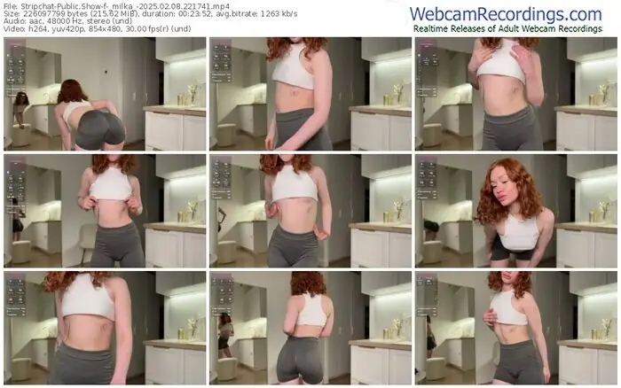 2025/02/08/stripchat-_milka_-22-17-41