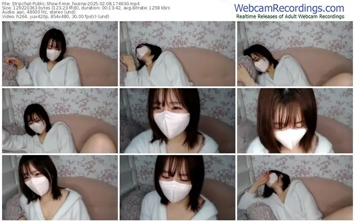 2025/02/08/stripchat-mei_hosina-17-49-30