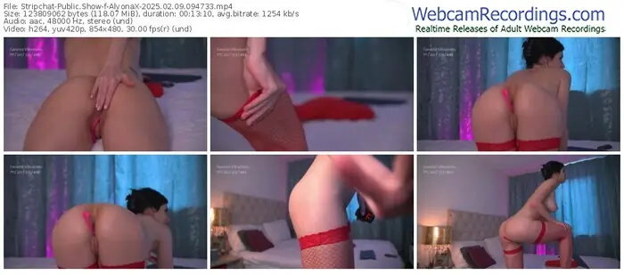 2025/02/09/stripchat-alyonax-09-47-33
