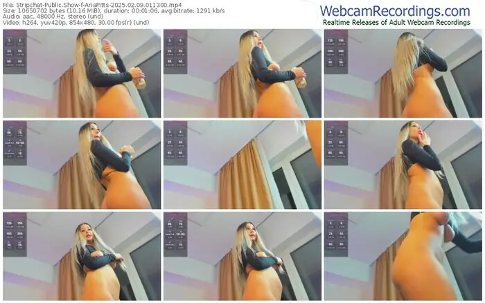 2025/02/09/stripchat-ariapitts-01-13-00