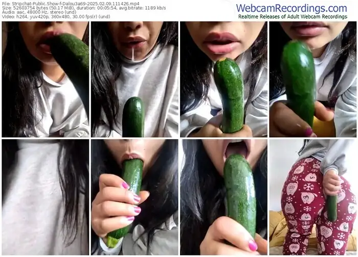 2025/02/09/stripchat-dalou3a69-11-14-26