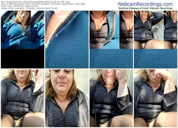 2025/02/09/stripchat-venusalpha-11-13-01