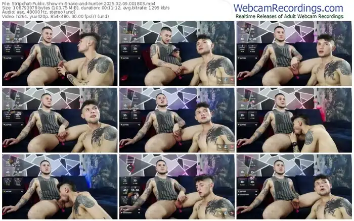 2025/02/09/stripchat-snake-and-hunter-00-18-03