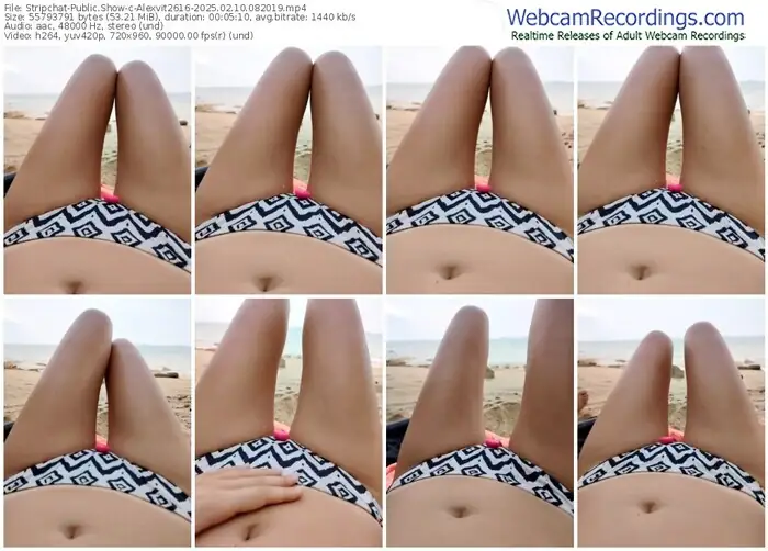 2025/02/10/stripchat-alexvit2616-08-20-19