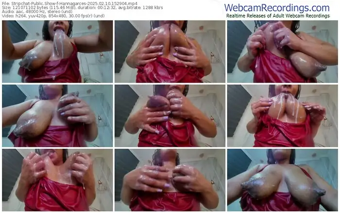 2025/02/10/stripchat-hannagarces-15-29-04