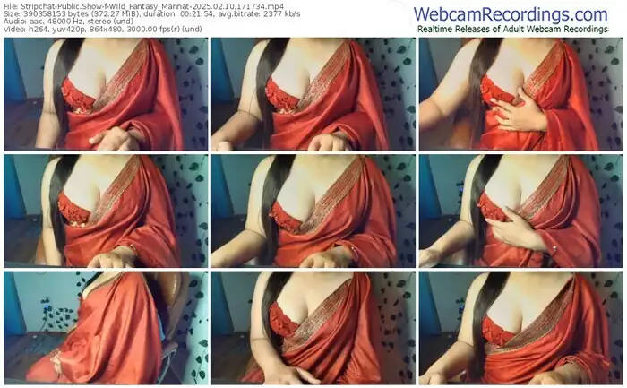 2025/02/10/stripchat-wild_fantasy_mannat-17-17-34