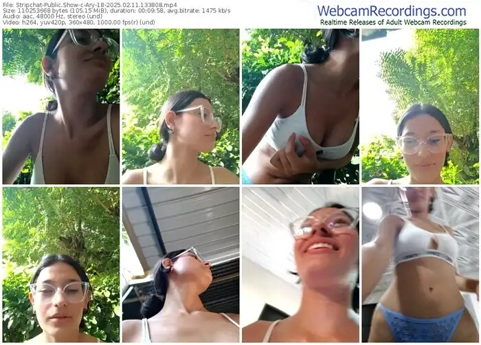 2025/02/11/stripchat-ary-18-13-38-08