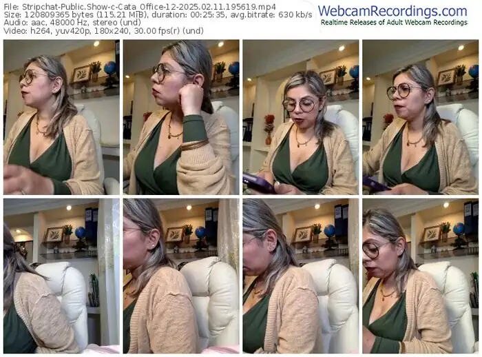 2025/02/11/stripchat-cata_office-12-19-56-19