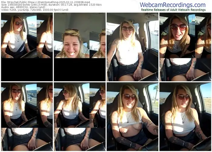 2025/02/11/stripchat-sheissomething-23-38-38