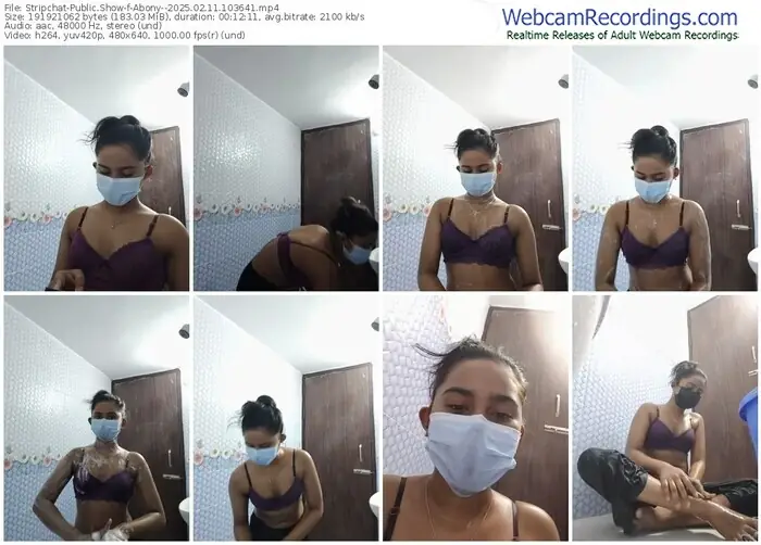 2025/02/11/stripchat-abony--10-36-41