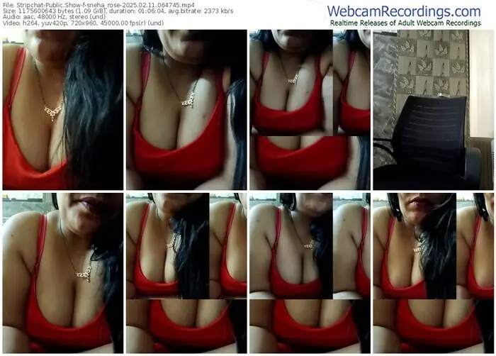 2025/02/11/stripchat-sneha_rose-06-47-45