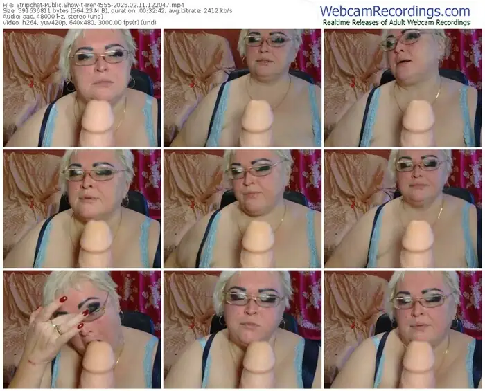 2025/02/11/stripchat-iren4555-12-20-47