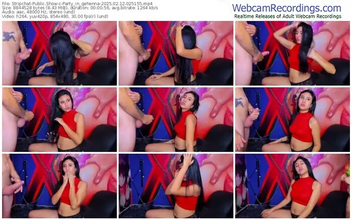2025/02/12/stripchat-party_in_gehenna-02-51-55