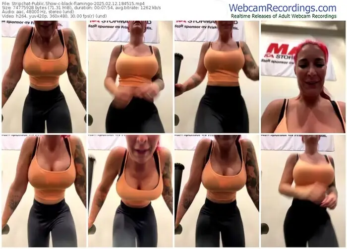 2025/02/12/stripchat-black-flamingo-18-45-15