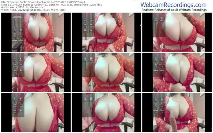 2025/02/12/stripchat-hoot-anime--04-59-07