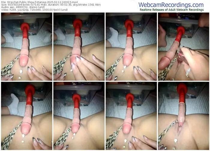 2025/02/12/stripchat-iitaniee-16-00-15