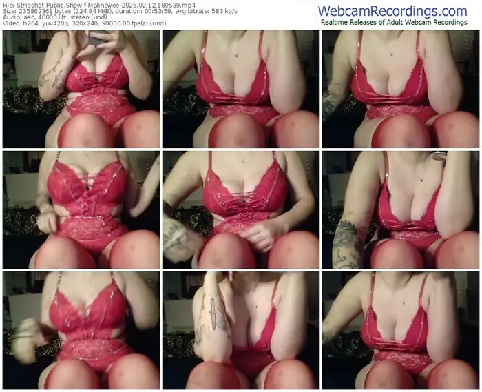 2025/02/12/stripchat-malinswee-18-05-39