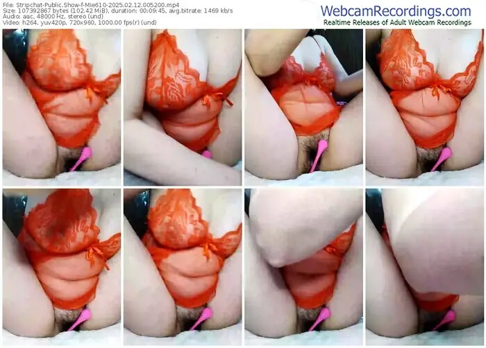 2025/02/12/stripchat-mie610-00-52-00