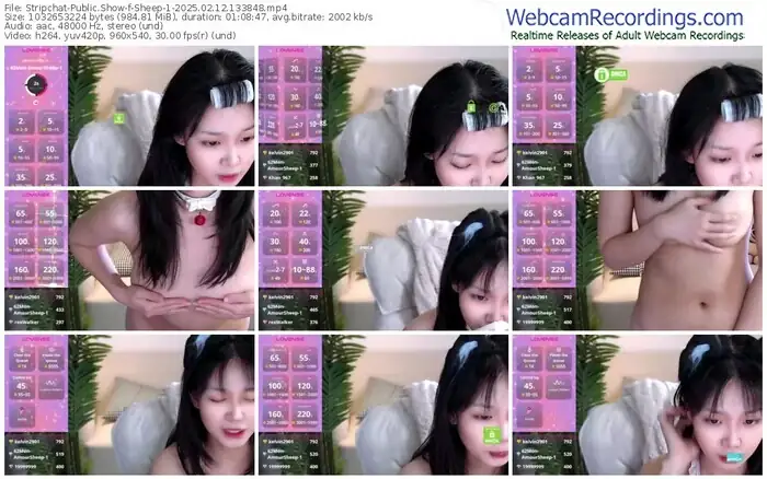 2025/02/12/stripchat-sheep-1-13-38-48